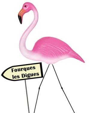 Flamants roses fourques